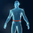 3D Waistline 3D Waistline