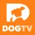 DOGTV