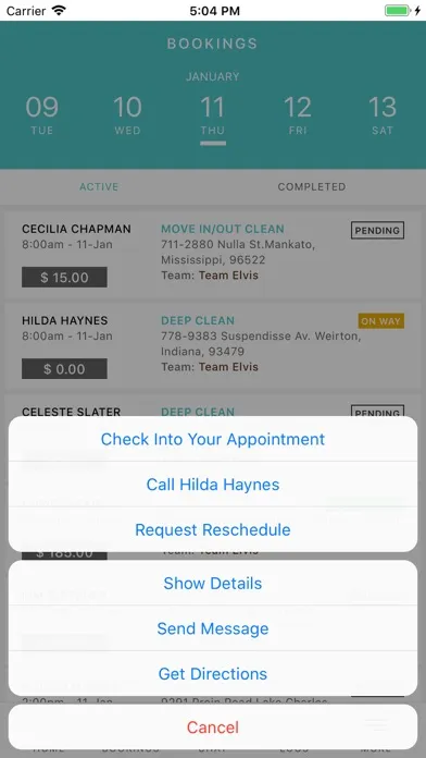 Ảnh chụp màn hình của Swept Cleaning