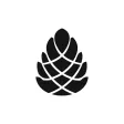 Launchpine