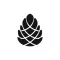 Launchpine