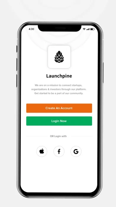 Tangkapan skrin Launchpine
