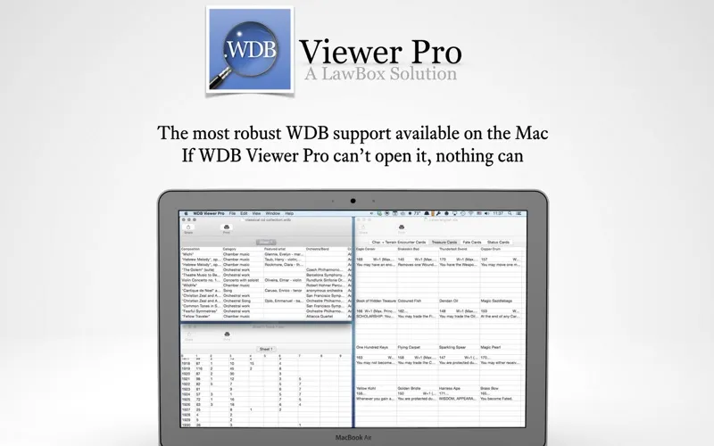 WDB Viewer Pro 스크린샷