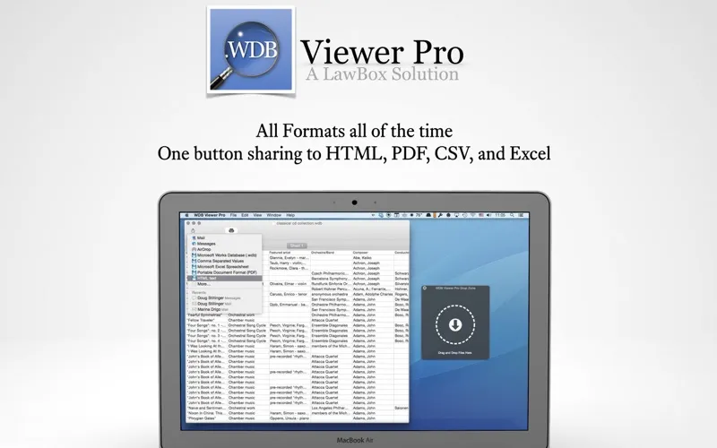 WDB Viewer Pro 스크린샷