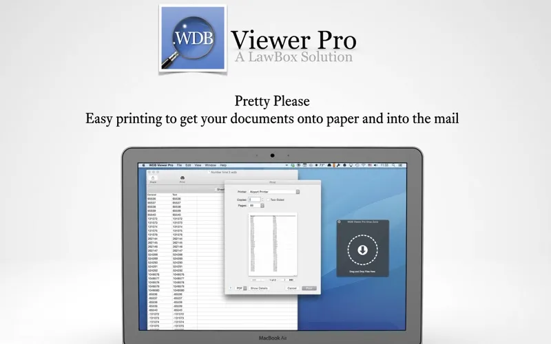 WDB Viewer Pro 스크린샷