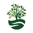 Lawn Pro Lawn Pro