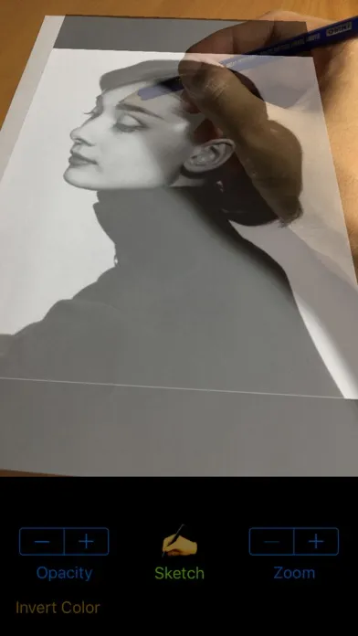 Vermeer's Lens: AR Drawing স্ক্রিনশট