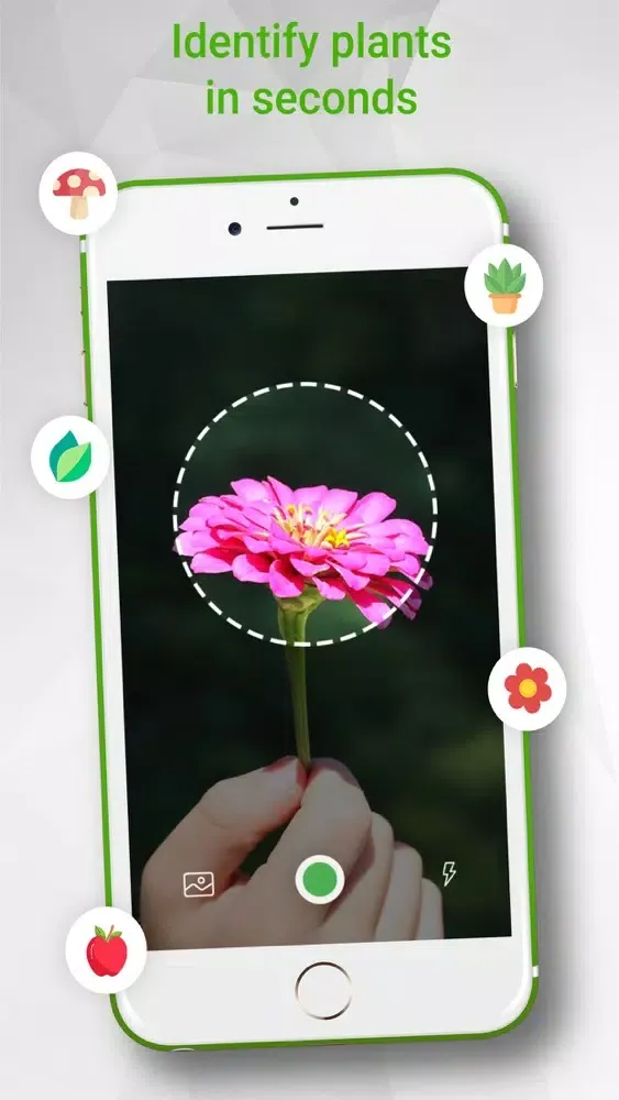 تصاویر Identify Plants Flowers& Trees