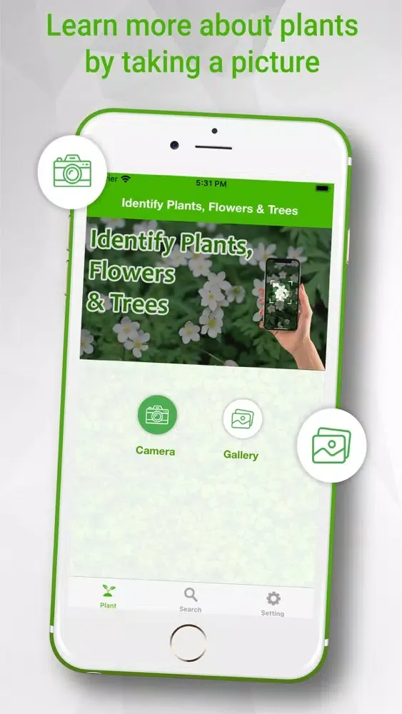 تصاویر Identify Plants Flowers& Trees