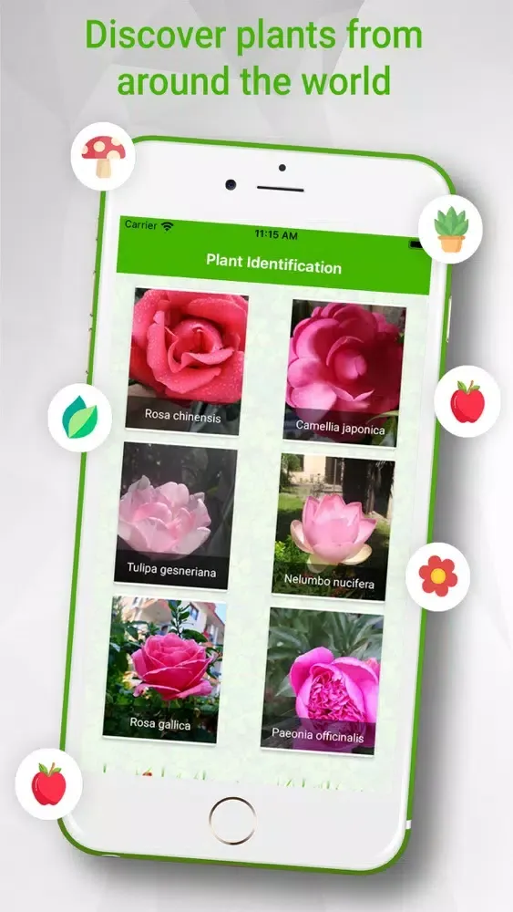 تصاویر Identify Plants Flowers& Trees