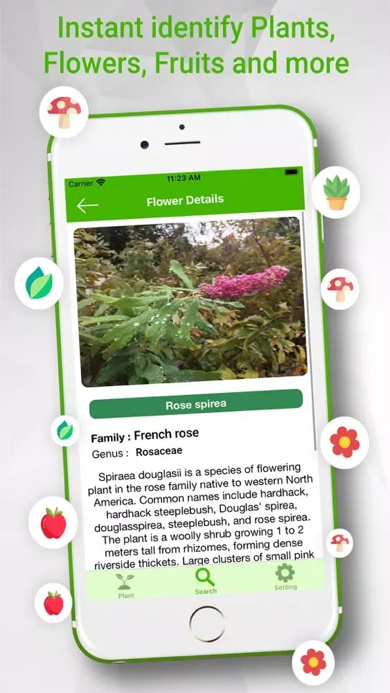 تصاویر Identify Plants Flowers& Trees