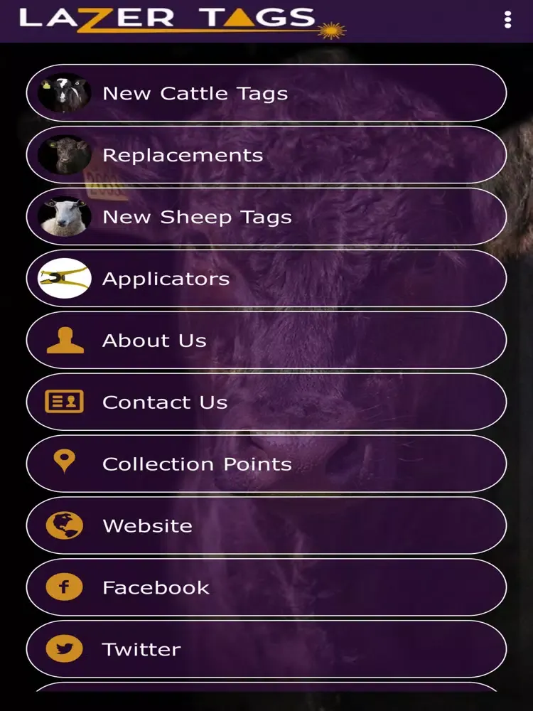 LaZer Tags iPad  স্ক্রিনশট