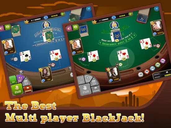 BlackJack Saloon Casino Cards iPad 应用截图