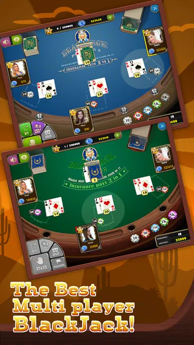 BlackJack Saloon Casino Cards应用截图
