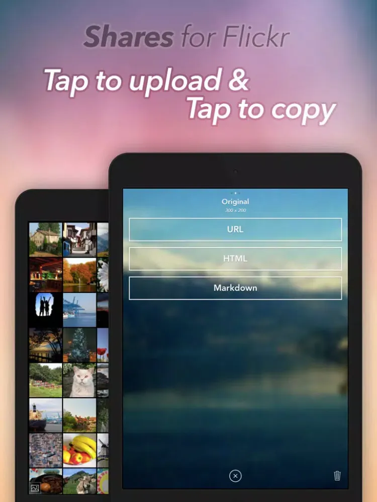 Shares for Flickr iPad 应用截图