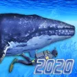 Diving Simulator 2020 Diving Simulator 2020