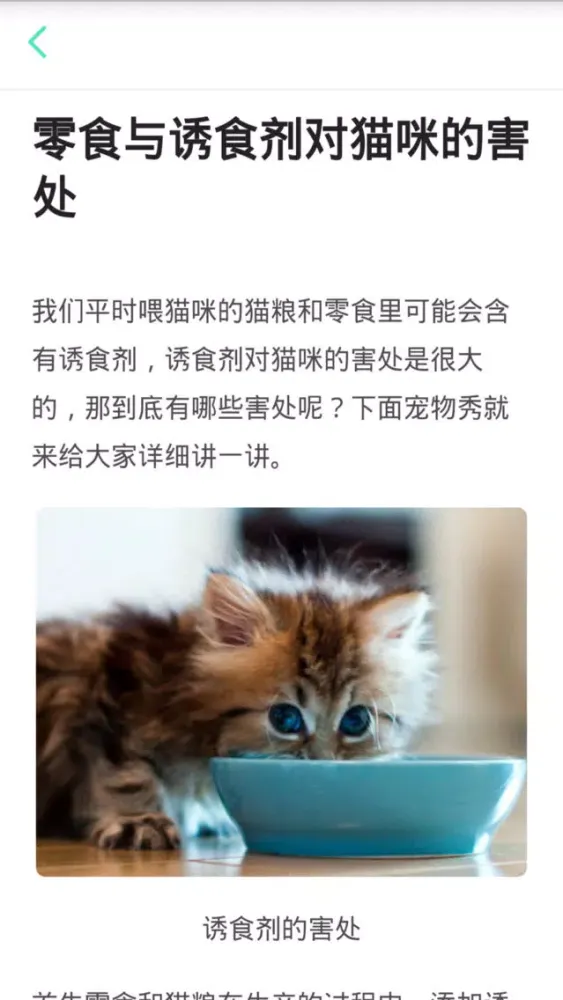 猫咪管家 স্ক্রিনশট