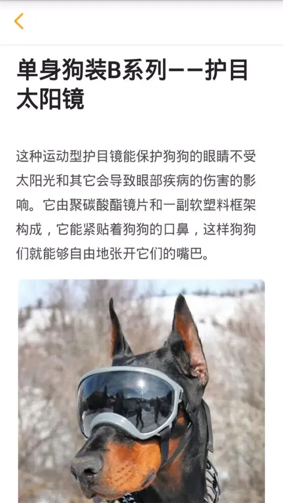 Tangkapan layar 狗狗管家