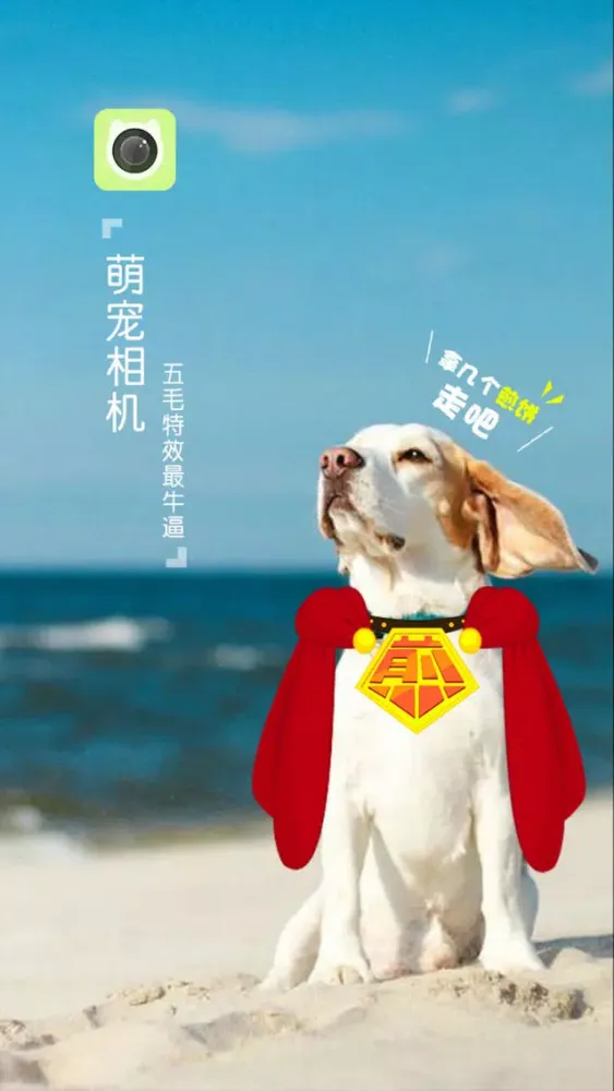 Ảnh chụp màn hình của 萌宠相机-猫狗的拍照神器