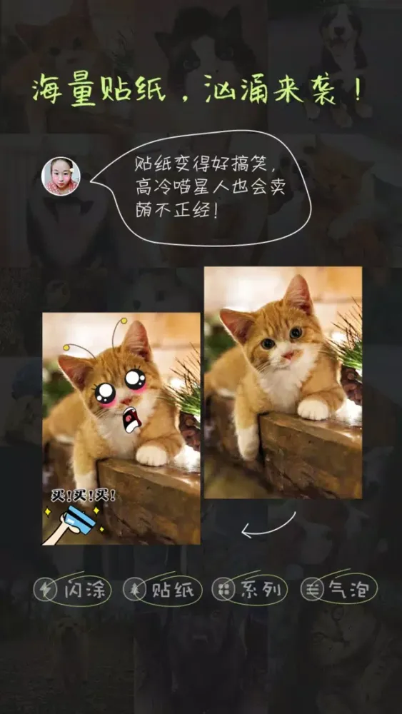 Ảnh chụp màn hình của 萌宠相机-猫狗的拍照神器