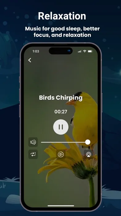 Sleepify - Sleeping Sounds Screenshots
