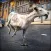 Frenzy Goat: Animal Racing