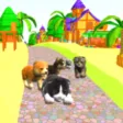 Kitty And Puppy Running Kitty And Puppy Running