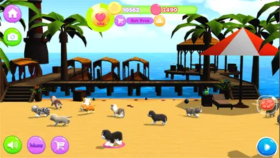 Kitty And Puppy Running Screenshots