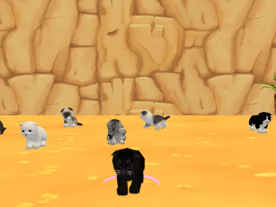 Скриншоты My Lovely Kitty Cat iPad 