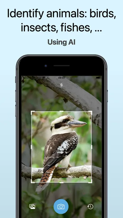 تصاویر Animal Identifier - AI Scanner