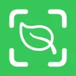Plant Identifier - AI Scanner Plant Identifier - AI Scanner