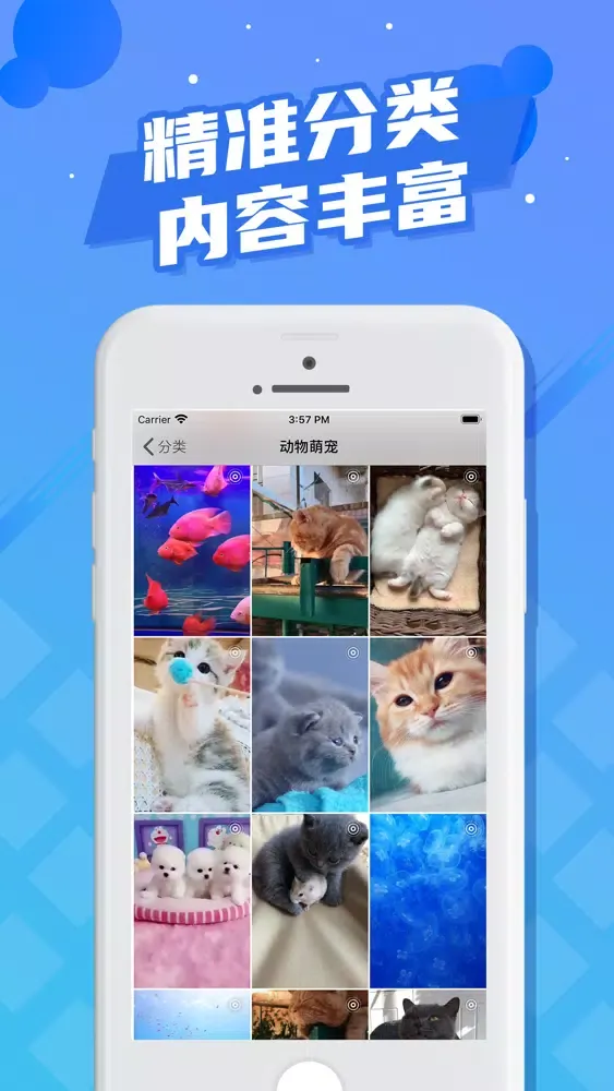 Screenshot di 精美壁纸-超高清动态壁纸