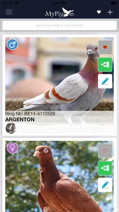 MyPigeon App Ekran Görüntüleri