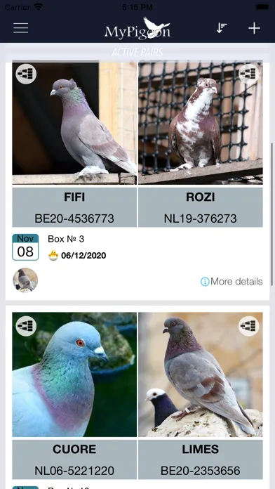 MyPigeon App Ekran Görüntüleri