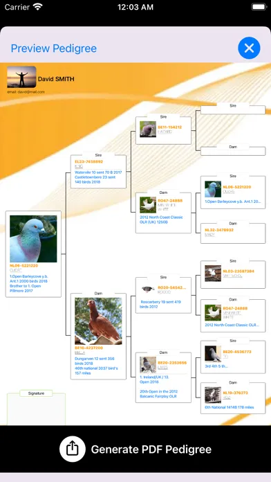 MyPigeon App Ekran Görüntüleri