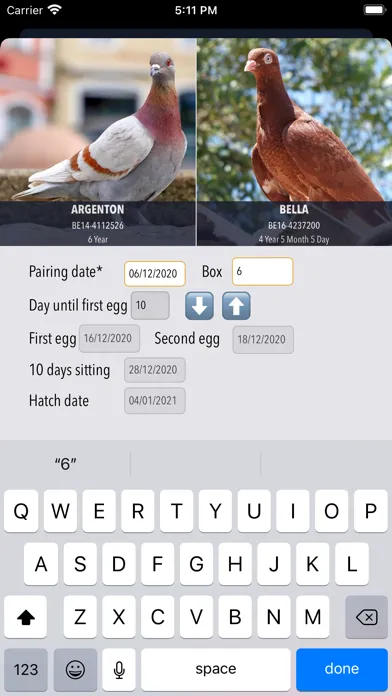 MyPigeon App Ekran Görüntüleri