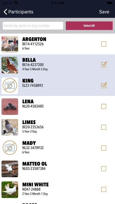MyPigeon App Ekran Görüntüleri
