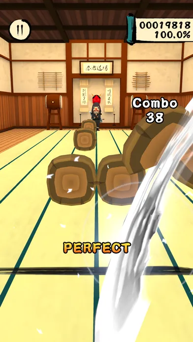 Tangkapan skrin Ninja Dojo