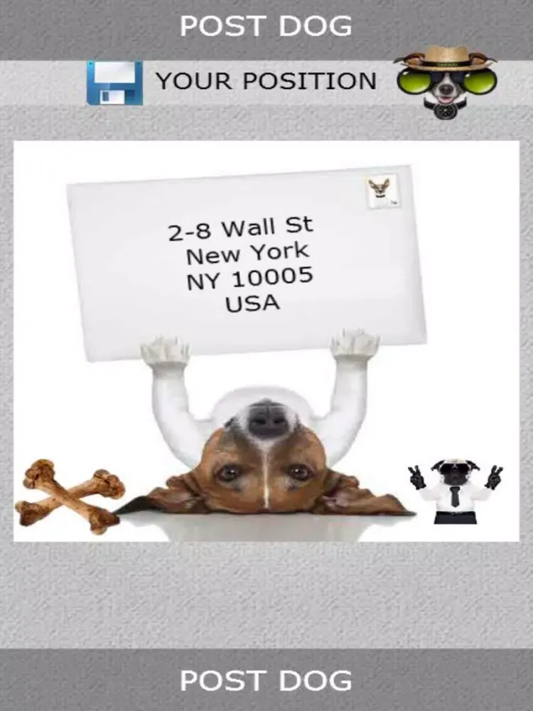 صور Post Dog iPad 
