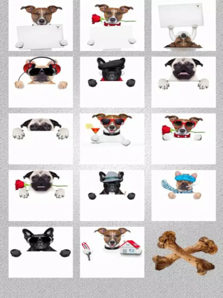 صور Post Dog iPad 