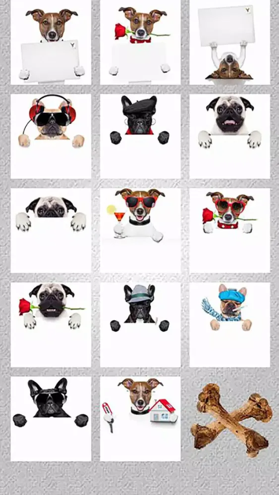 صور Post Dog