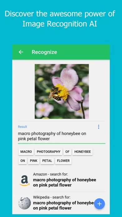 Ảnh chụp màn hình của Image Recognizer (LD Studio)