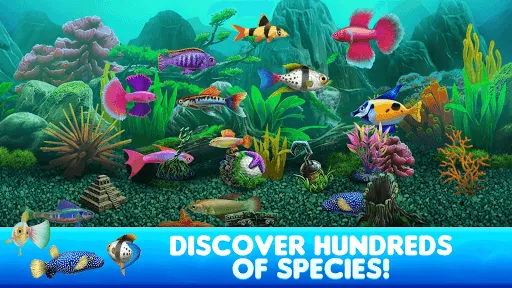 Capturas de tela do Fish Tycoon 2 Virtual Aquarium