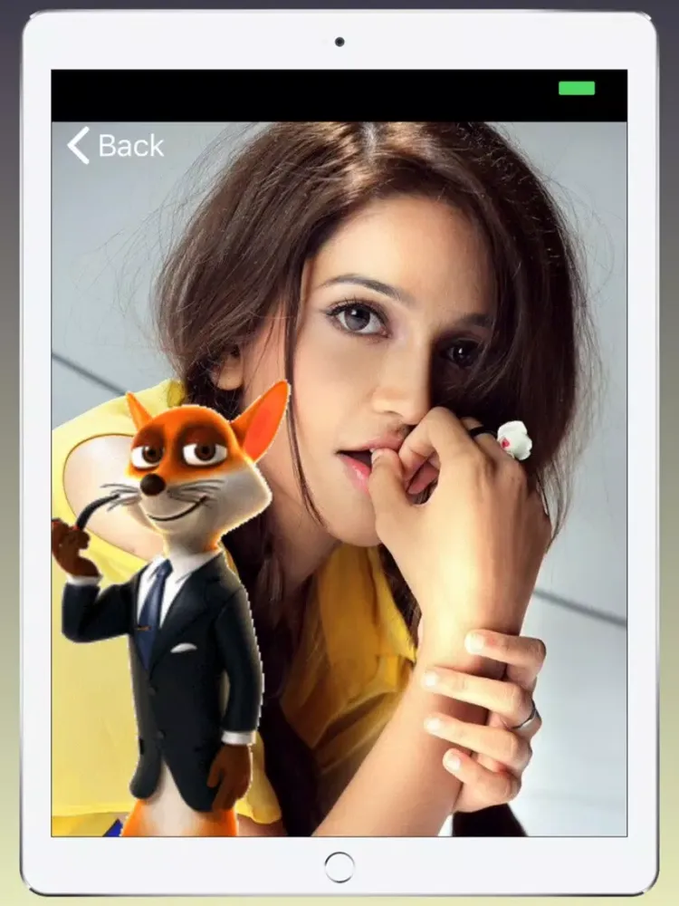 Pix Photo Editor Pro iPad 应用截图