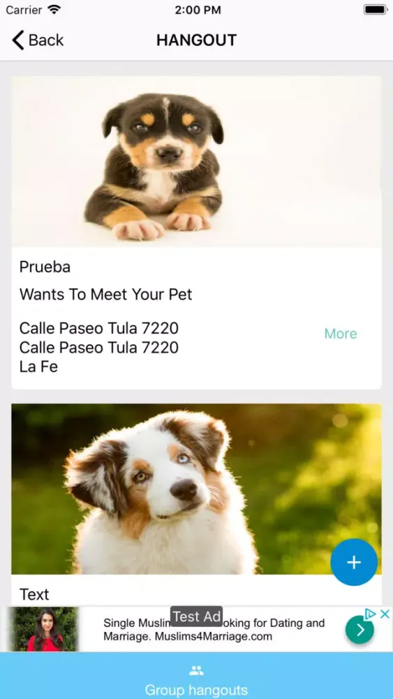 ภาพหน้าจอของ PawBuddy