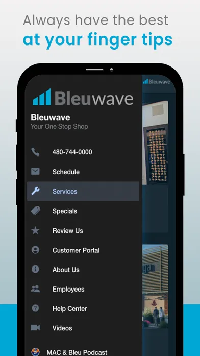 Zrzuty ekranu Bleuwave Services