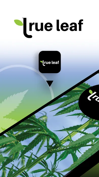 صور True Leaf