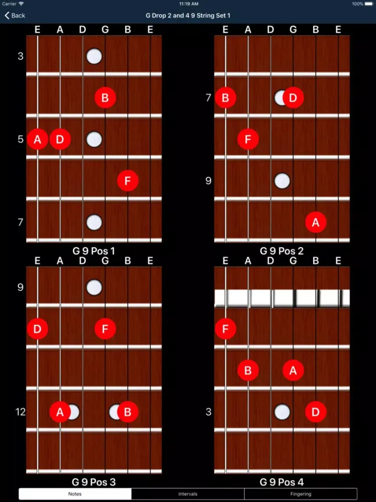 Screenshot di Matt Warnock Guitar 251 Chords iPad 