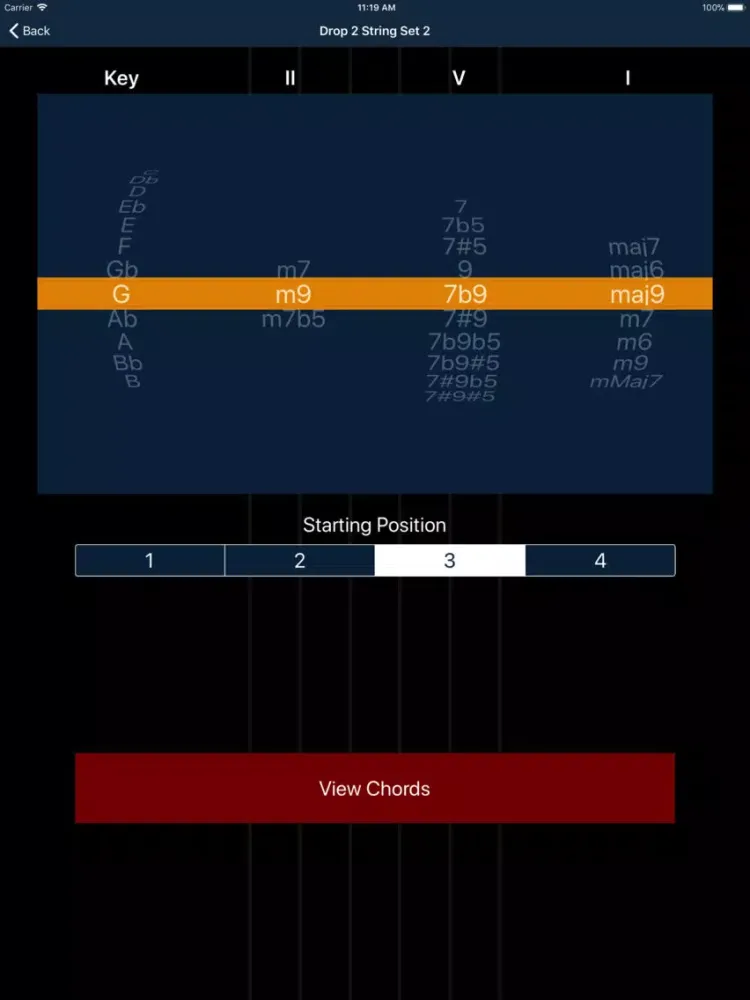 Screenshot di Matt Warnock Guitar 251 Chords iPad 