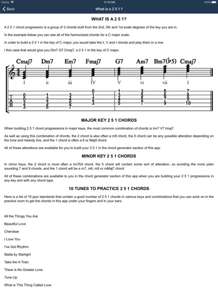 Screenshot di Matt Warnock Guitar 251 Chords iPad 